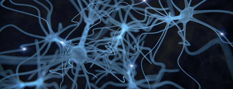 DIAGNOSTYKA NEUROLOGICZNA W FIZJOTERAPII I OSTEOPATII